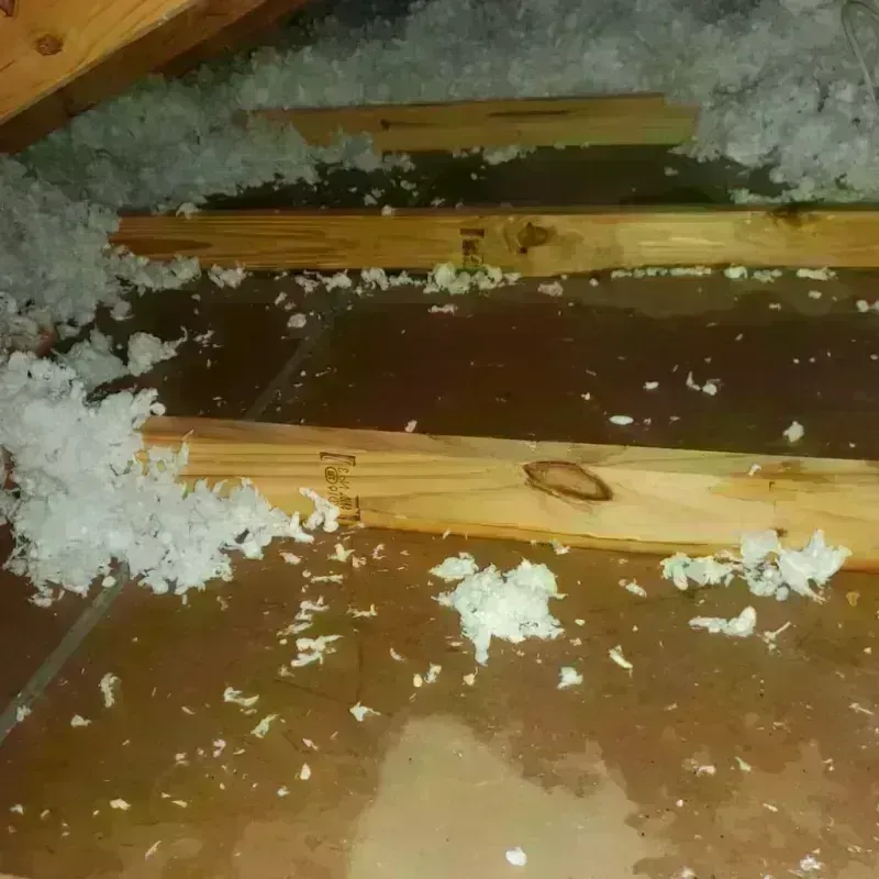 Attic Water Damage in East Moriches, NY